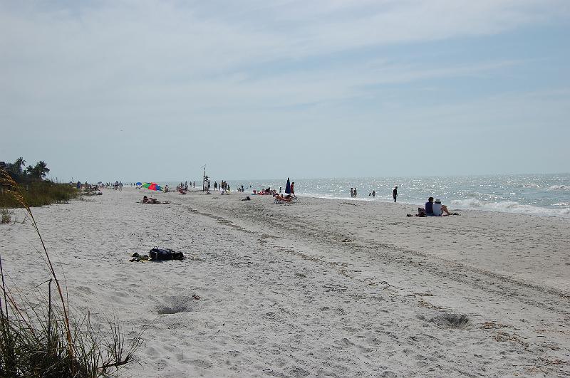 483. sanibel.JPG
